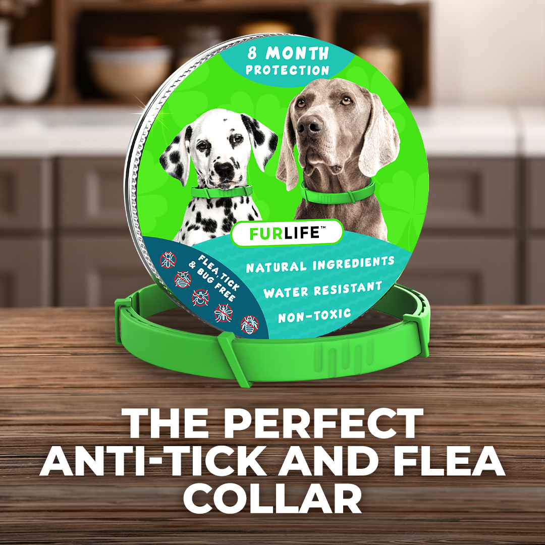 Anti-tick and Flea Collar